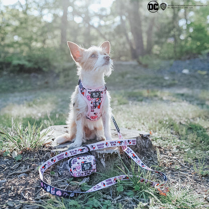 Dog Waste Bag Holder - Harley Quinn™