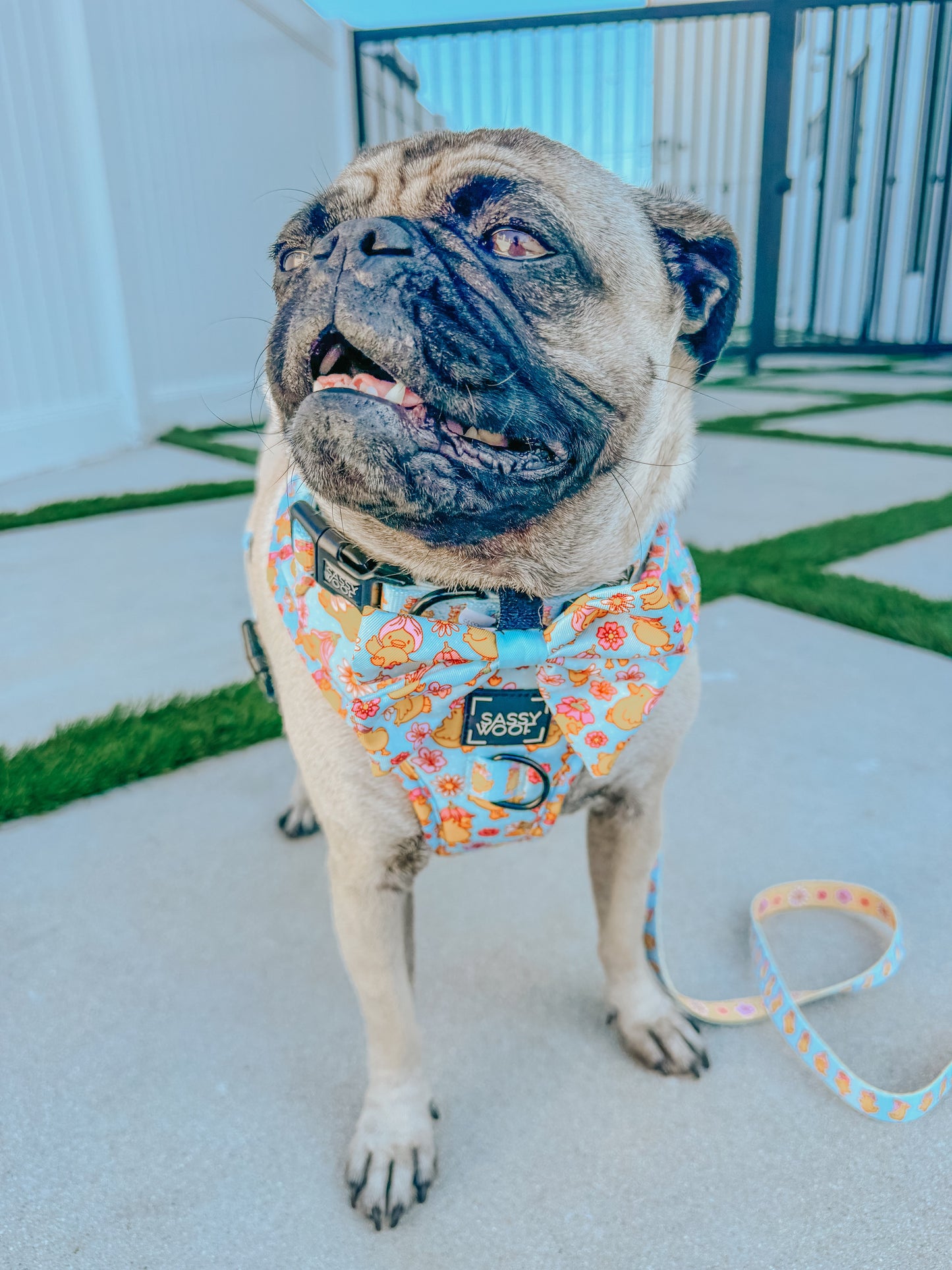 Dog Three Piece Bundle - Good Duck, Babe!