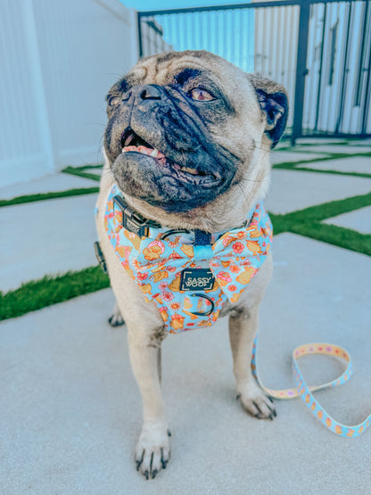 Dog Three Piece Bundle - Good Duck, Babe!