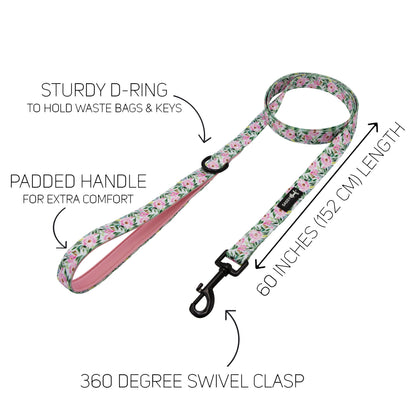 Dog Collar Three Piece Bundle - Magnolia