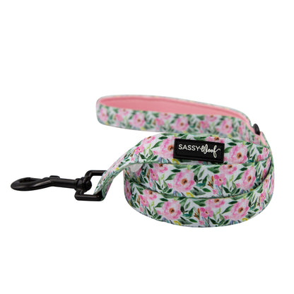 Dog Collar Three Piece Bundle - Magnolia