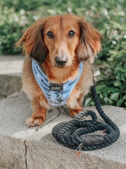 Dog Four Piece Bundle - Mama's Boy
