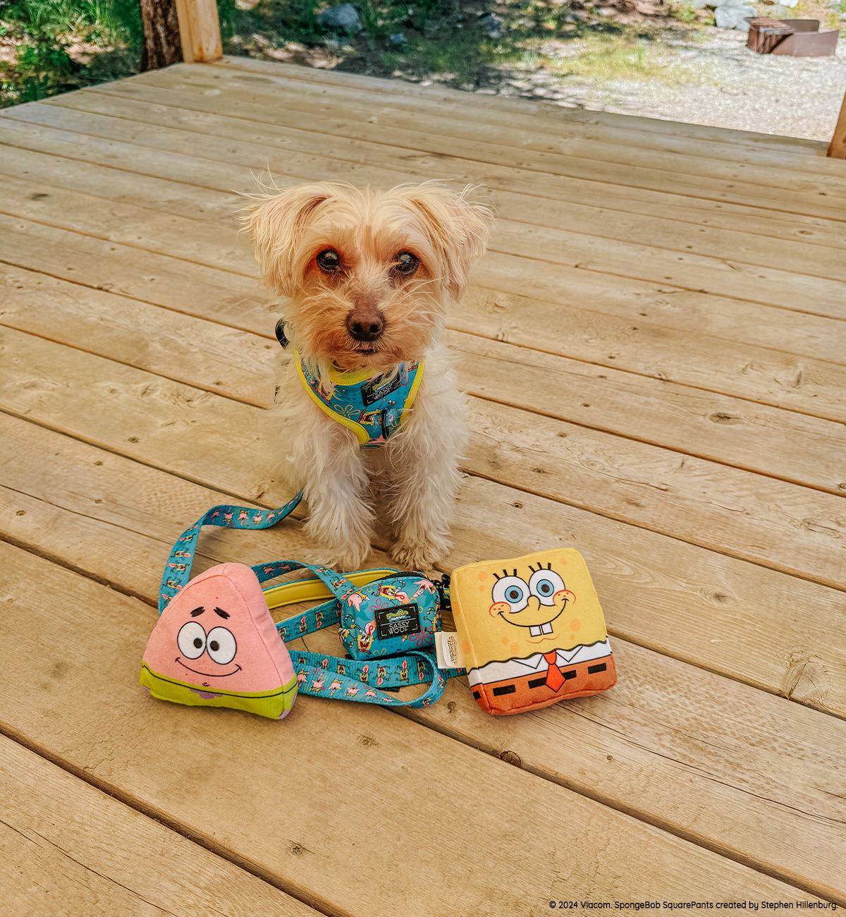Dog Toy - SpongeBob SquarePants™