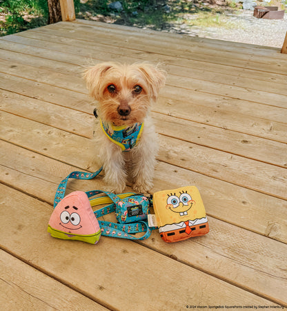 Dog Toy - SpongeBob SquarePants™