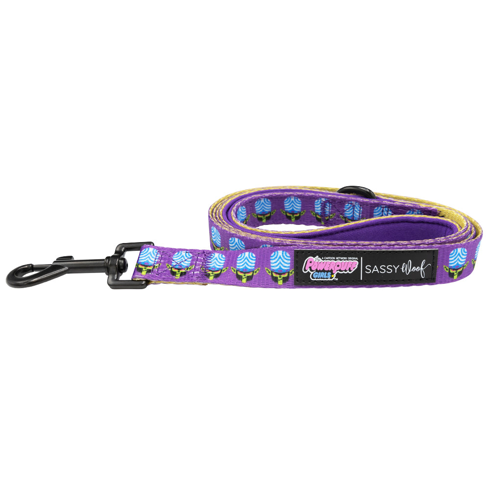Dog Collar Three Piece Bundle - Mojo Jojo™
