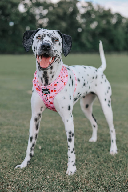 Dog Adjustable Harness - Mon Chérry