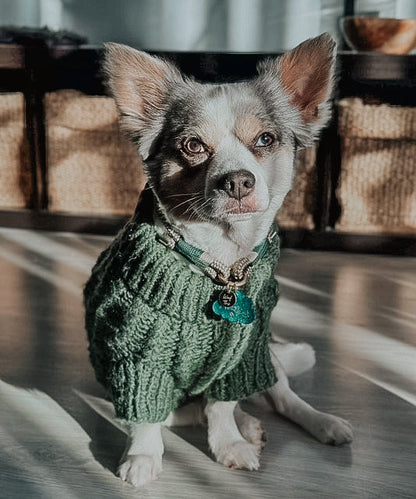 Pet Cable Knit Sweater - Dark Green