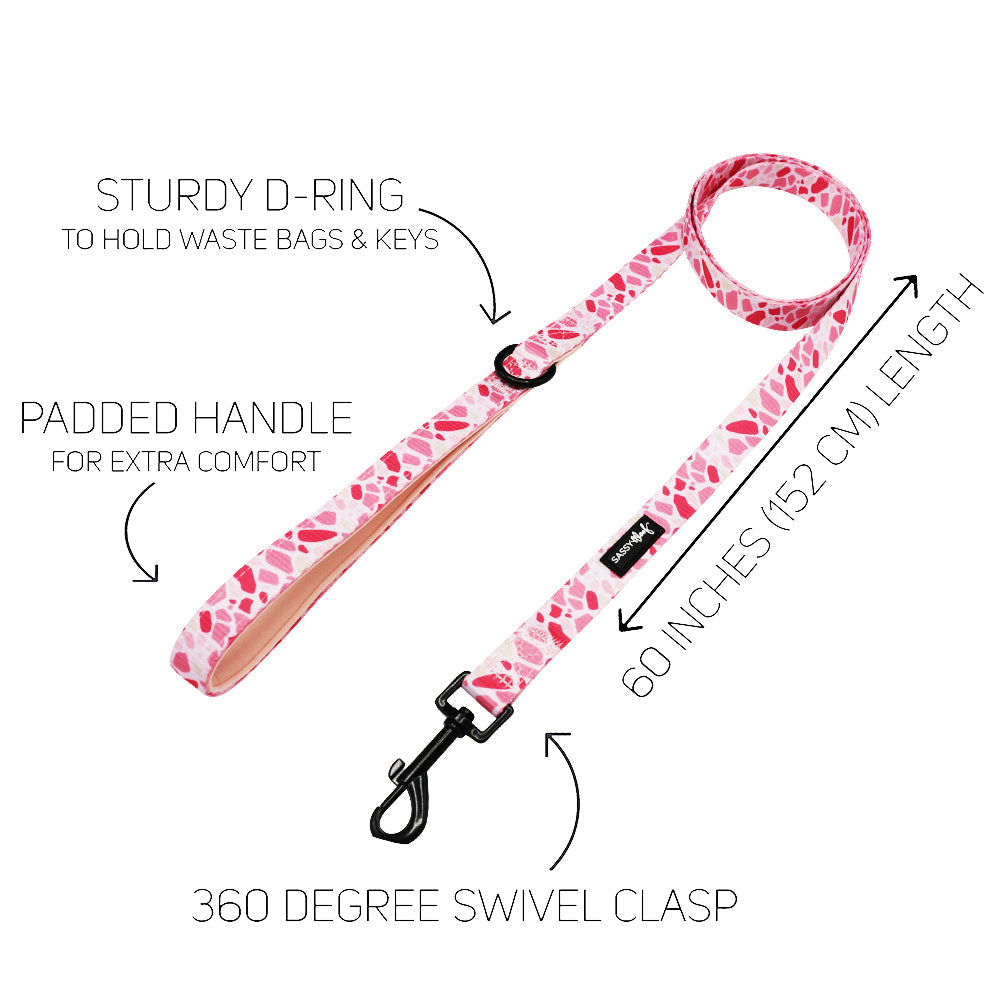 Dog Collar Three Piece Bundle - Mykonos