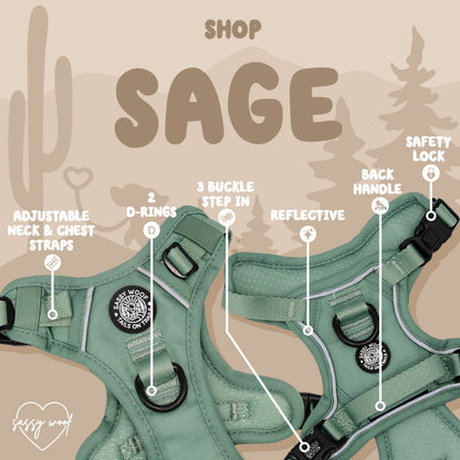 Dog Two Piece Bundle - Sage