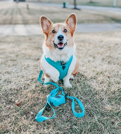 Dog Leash - Neon Blue