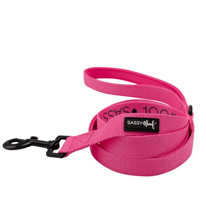 Dog Collar Three Piece Bundle - Neon Pink