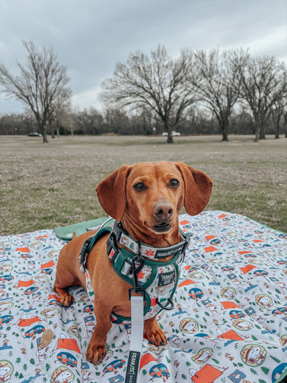 Dog Picnic Blanket - Peanuts™ Beagle Scouts