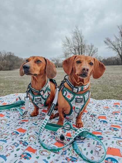 Dog Step-in Harness - Peanuts™ Beagle Scouts