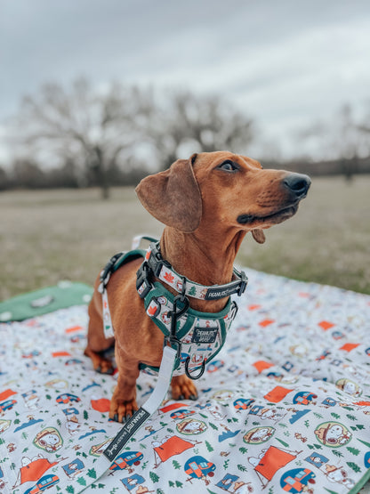 Dog Three Piece Bundle - Peanuts™ Beagle Scouts