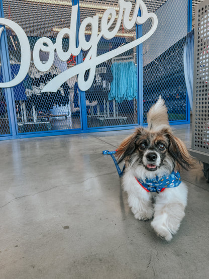Harness Three Piece Bundle - MLB™ x Peanuts™ Los Angeles Dodgers™