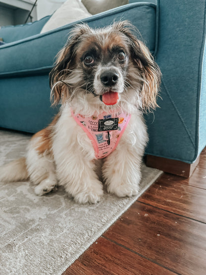 Dog Two Piece Bundle - Gilmore Girls™