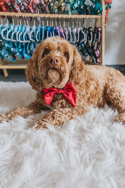 Dog Sailor Bow - Merlot
