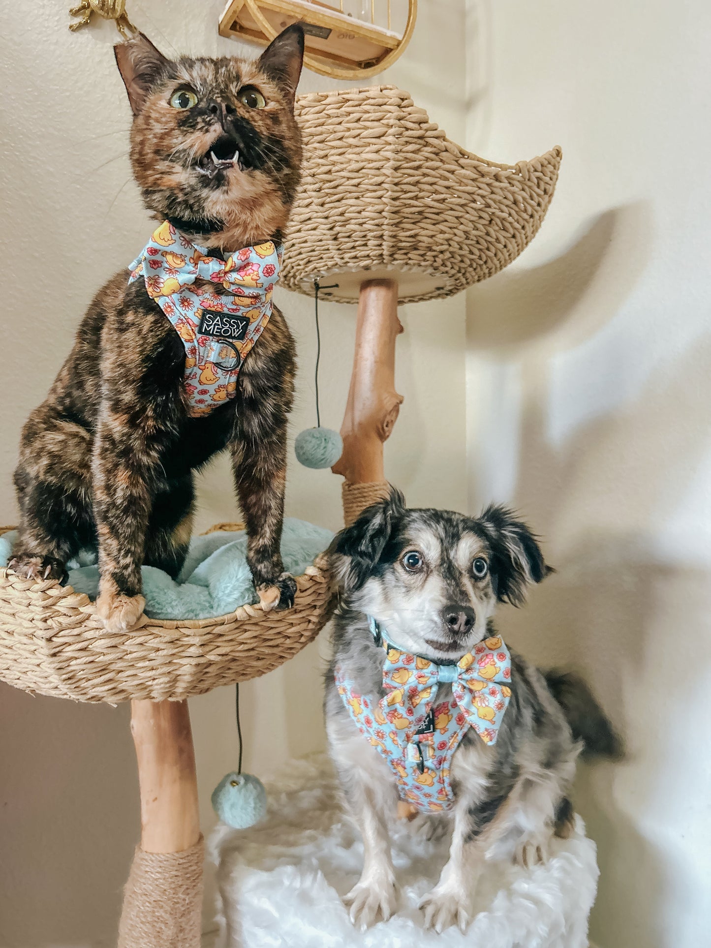 Cat Bowtie - Good Duck, Babe!