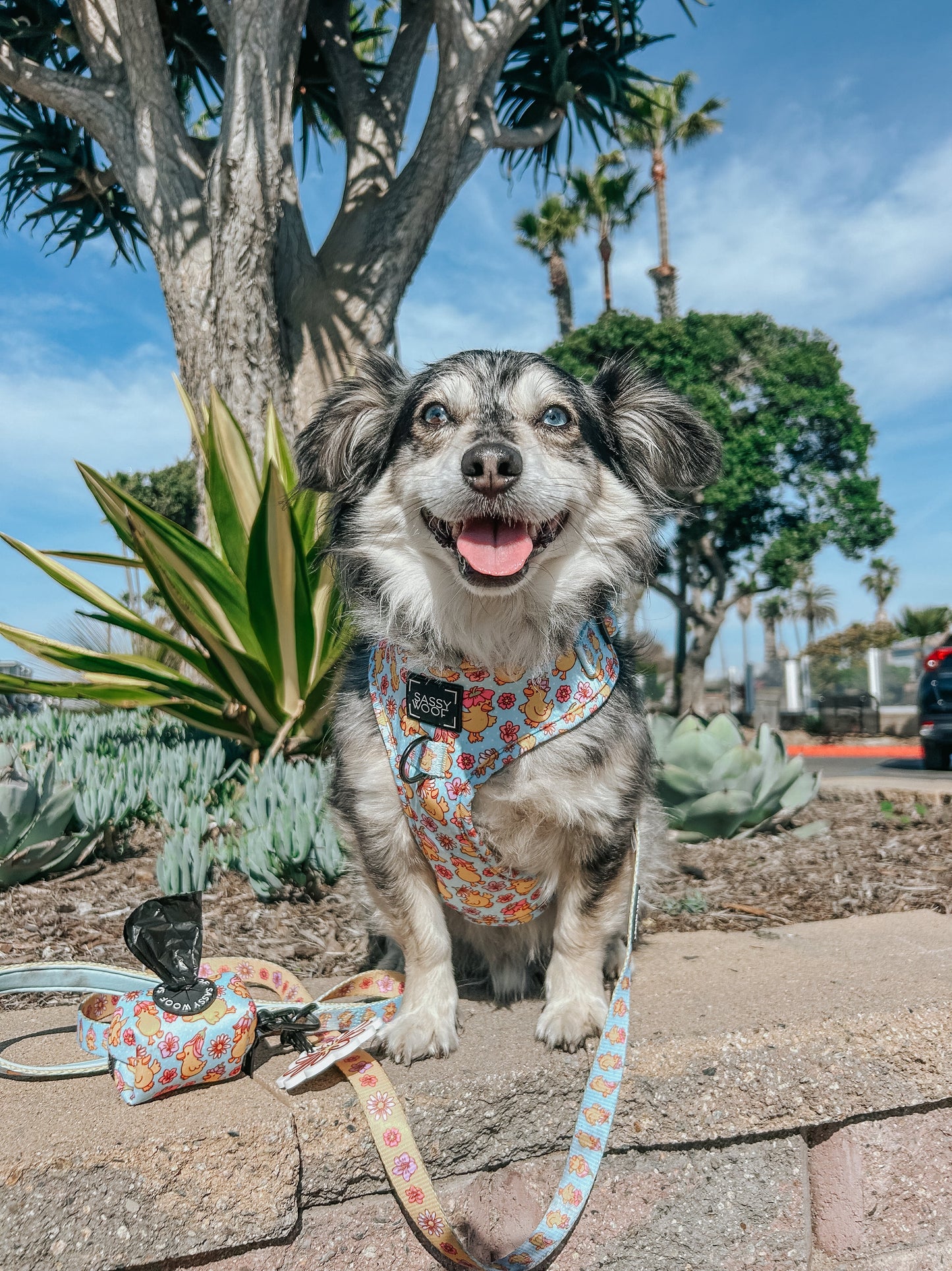 Dog Two Piece Bundle - Good Duck, Babe!