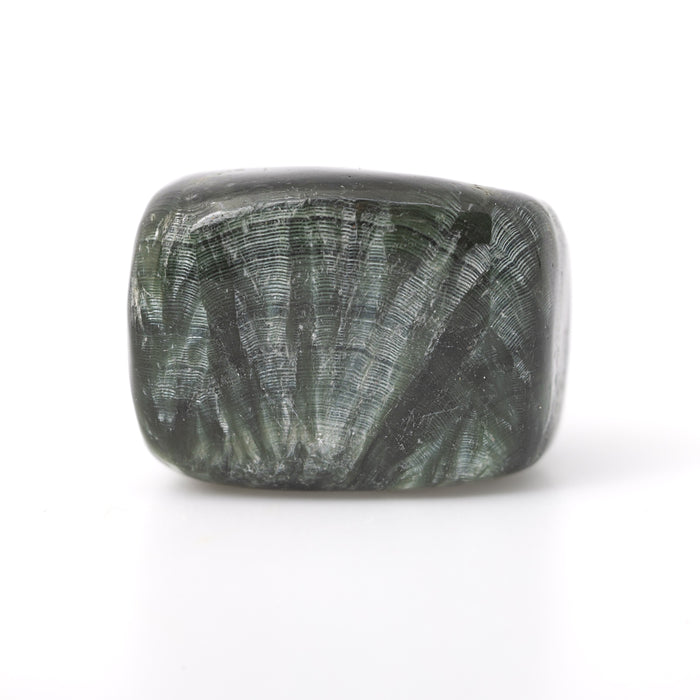 Seraphinite Tumbled Crystals - Evolution & Angelic Connection - Juniper Stones