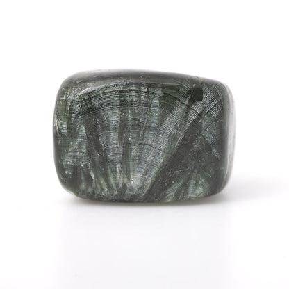 Seraphinite Tumbled Crystals - Evolution & Angelic Connection - Juniper Stones
