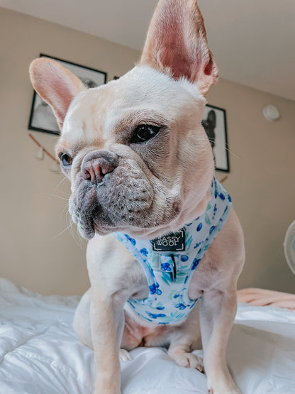 Dog Adjustable Harness - Berry Sassy