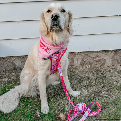 Dog Bandana - Mean Girls™ You Can't Sit With Us