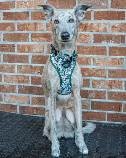 Dog Adjustable Harness - Under the Mistletoe
