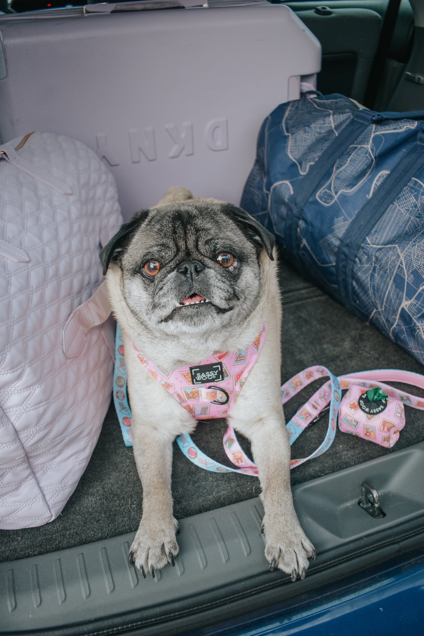 Dog Two Piece Bundle - Out of Office