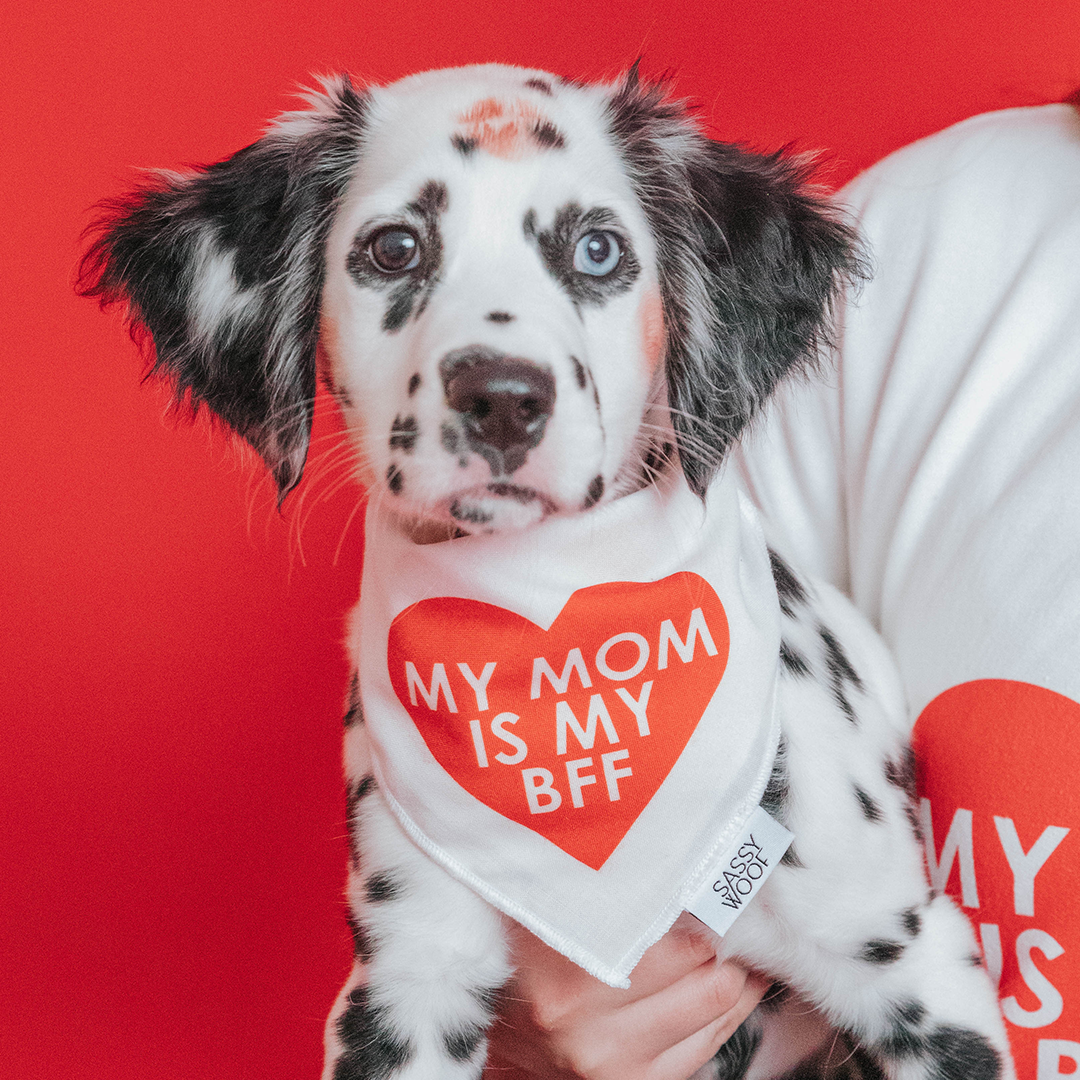 Dog Bandana - My Mom is my BFF (RED)