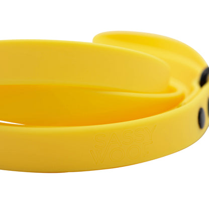 Dog Waterproof Leash - Yellow